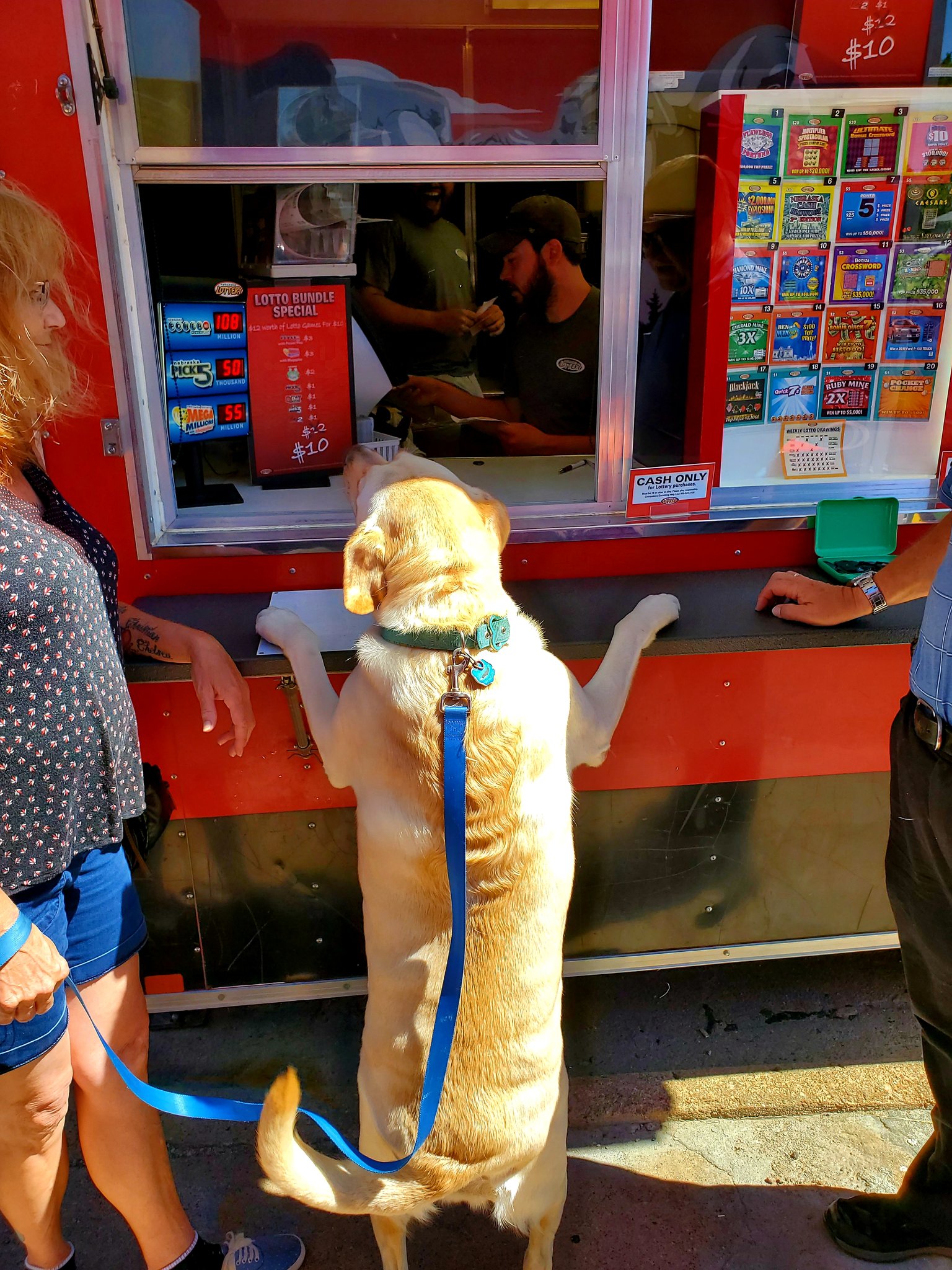 A dog looks into the Nebraska Lottery trailer.