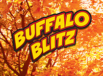 BUFFALO BLITZ scratch-off ticket