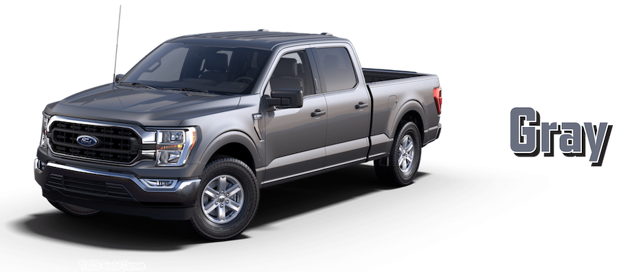 Gray Ford F-150